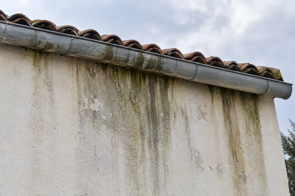 Façade en enduit clair marquée de coulures sombres sous une gouttière, à hauteur du premier étage